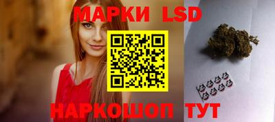 мдпв Бийск
