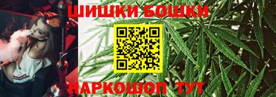 мдпв Бийск