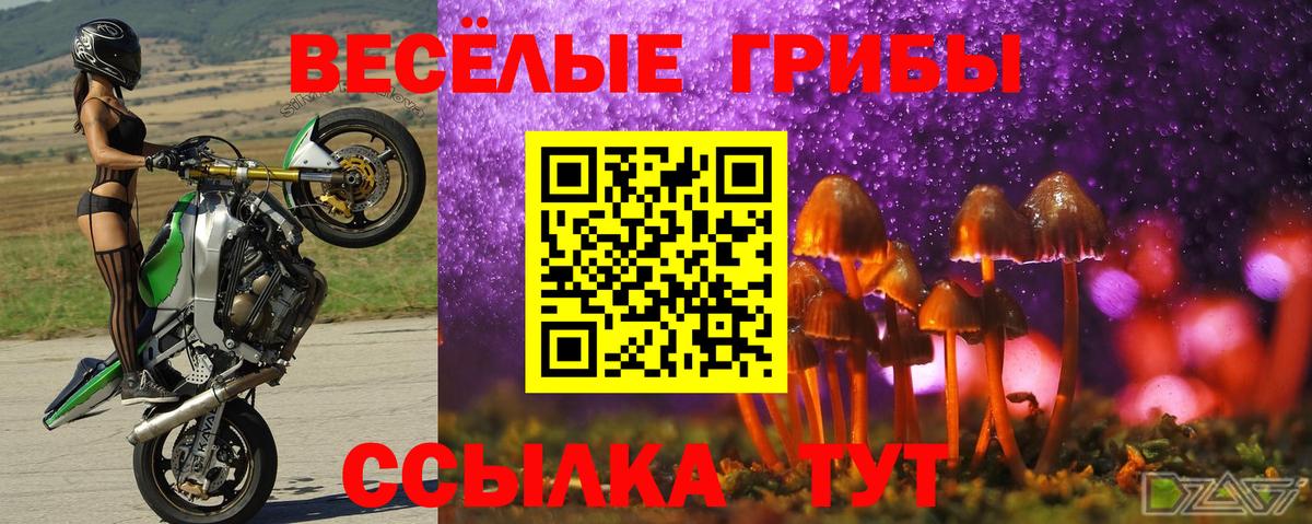 Верхний Уфалей  Галлюциногенные грибы мухоморы  Галлюциногенные грибы GOLDEN TEACHER  что такое наркотик  Вход с VPN 